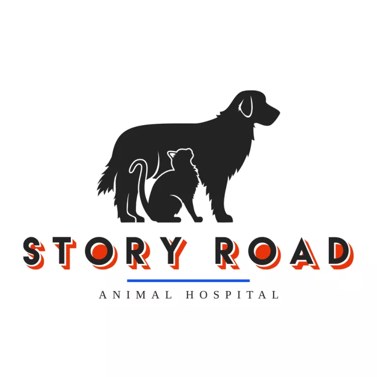 Story Road Animal Hospital, Texas, Irving
